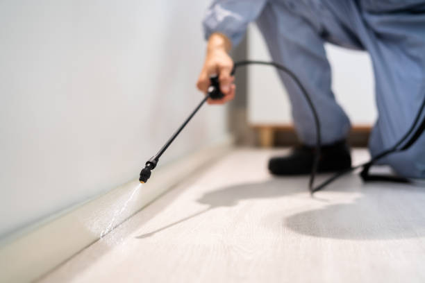 Licensed Pest Control service in Michigan, MI - Show Me Pest Control