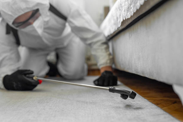 Professional Pest Control technician working in Michigan, MI