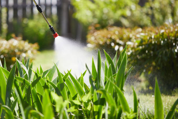 24/7 Emergency Pest Control experts in Michigan, MI